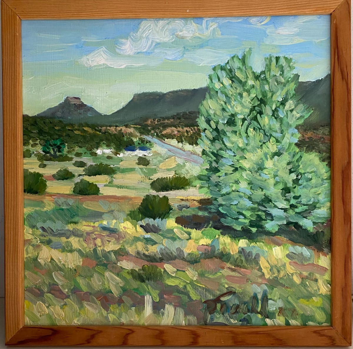 View from Sunshine by Peter Teall 