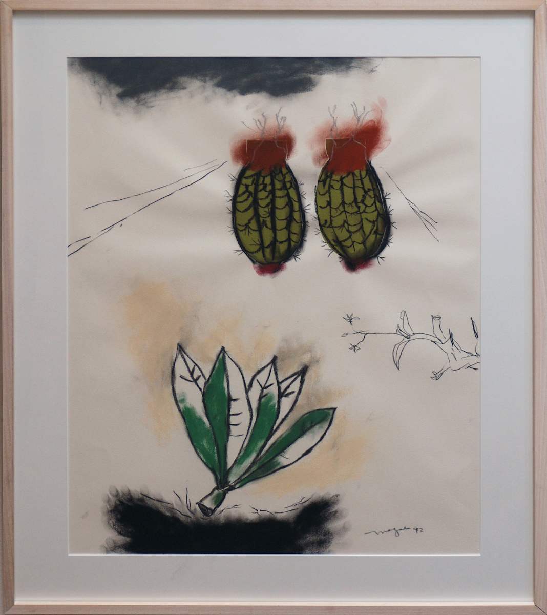 Zona by Magali Lara, Image 7.