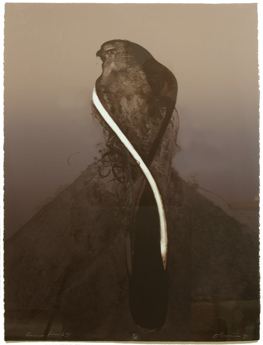 Acoma Hawk IV by Nathan Oliveira 