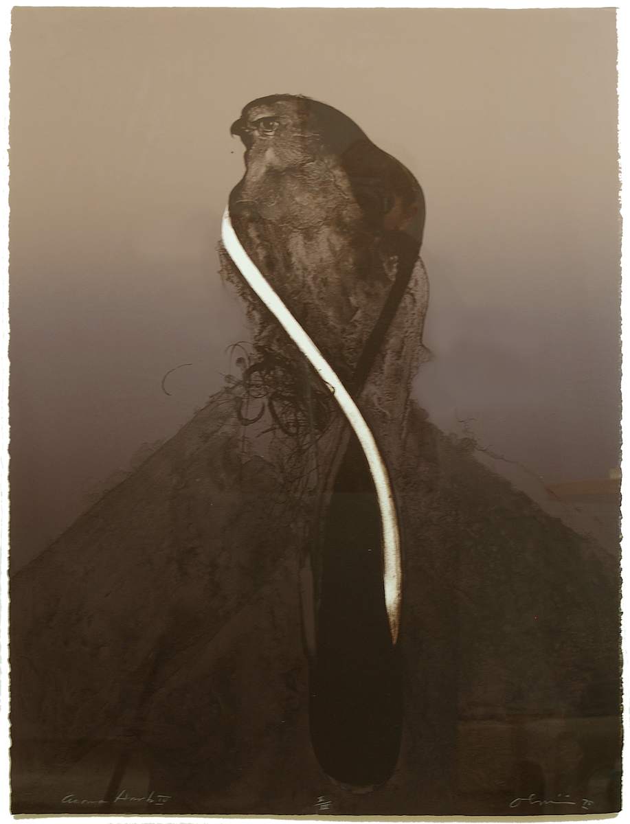 Acoma Hawk IV by Nathan Oliveira, Image 6.