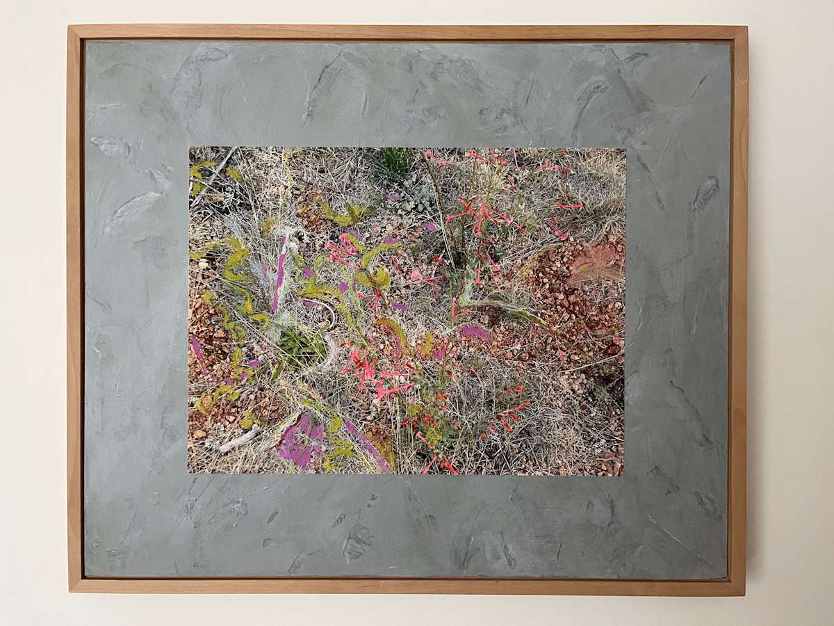 Title Unavailable by Jane Sprague, Image 1.
