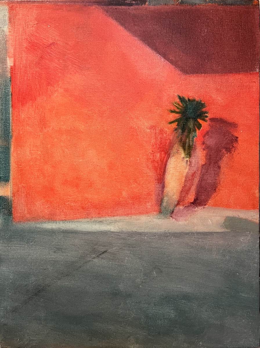 South Valley Yucca by LaVerne Harper, Image 2.