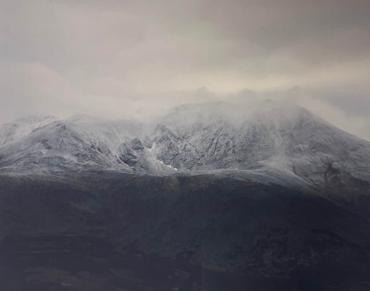 Untitled by Mary Mattingly 