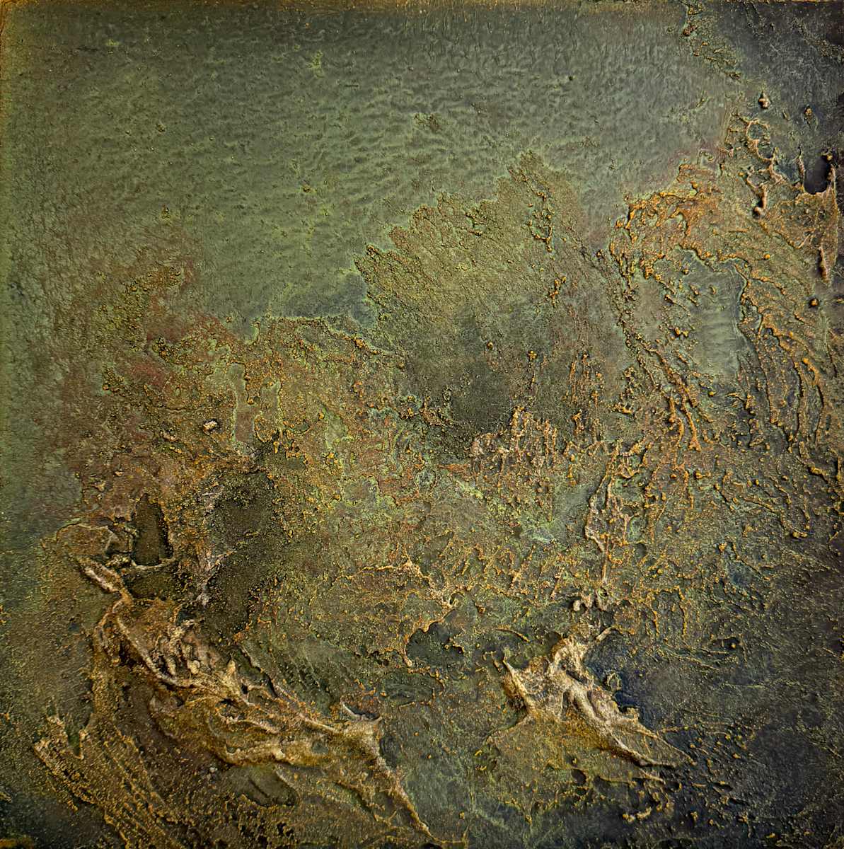 In the Shallows by Abbey Stace 