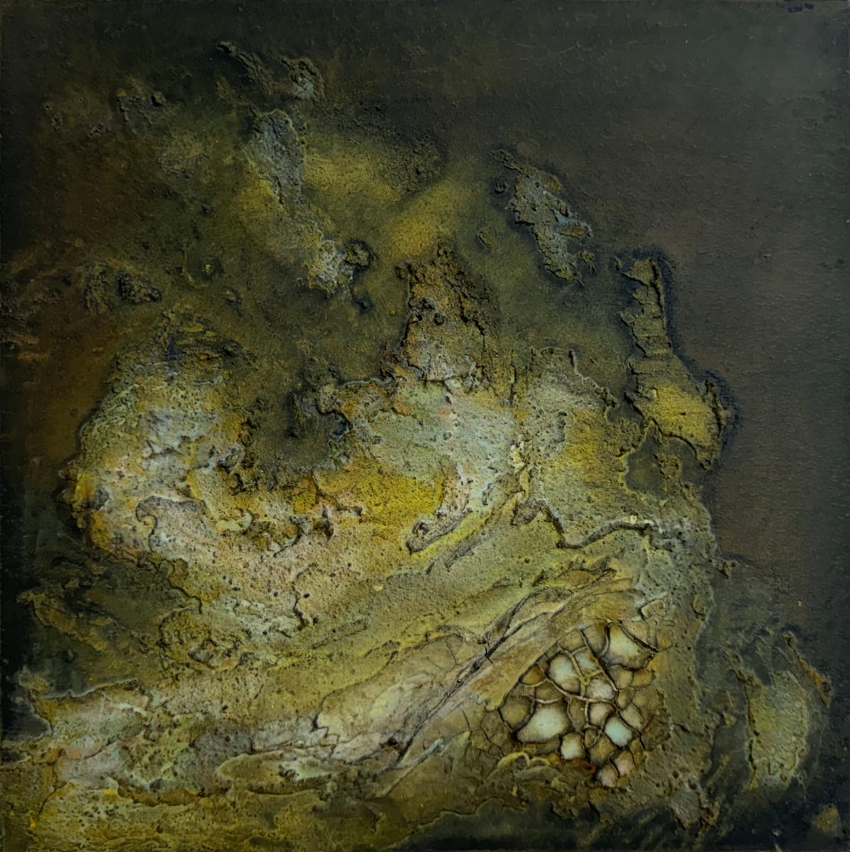Marsh by Abbey Stace 
