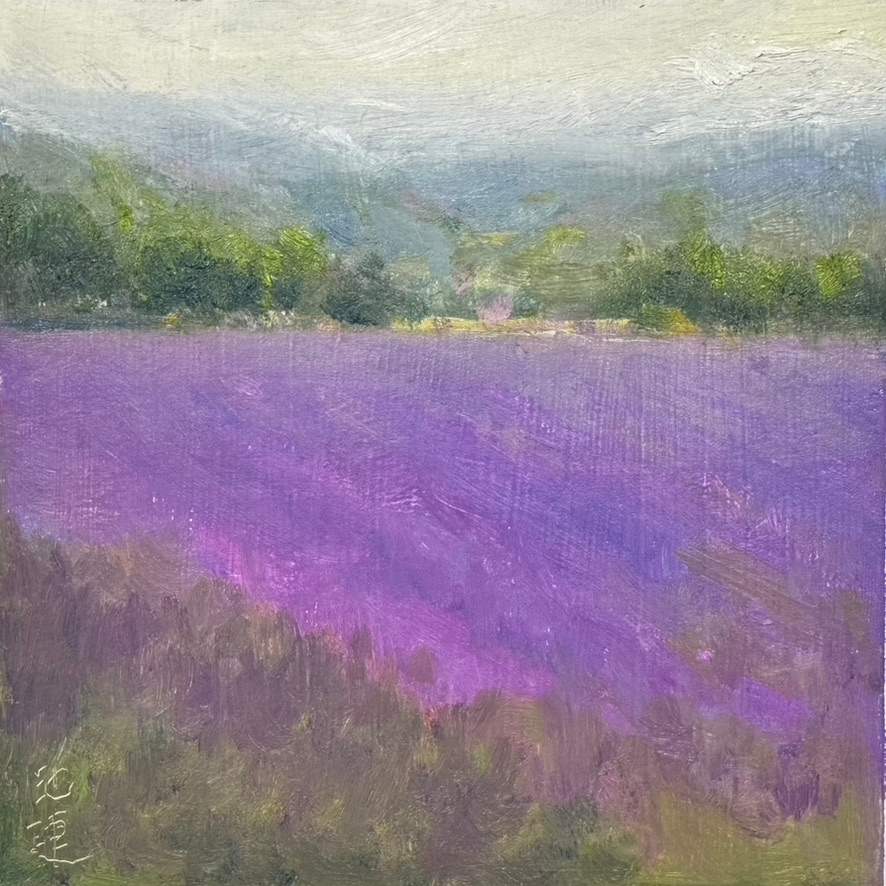 Lavenders in Provence by Betty Huang 