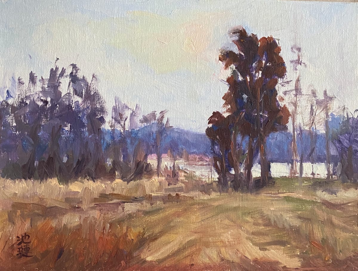 Majestic Cypress Trees, Image 1.