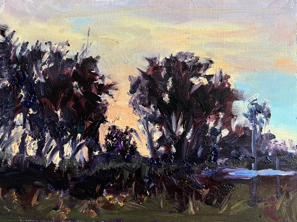 Morning Light, Image 1.