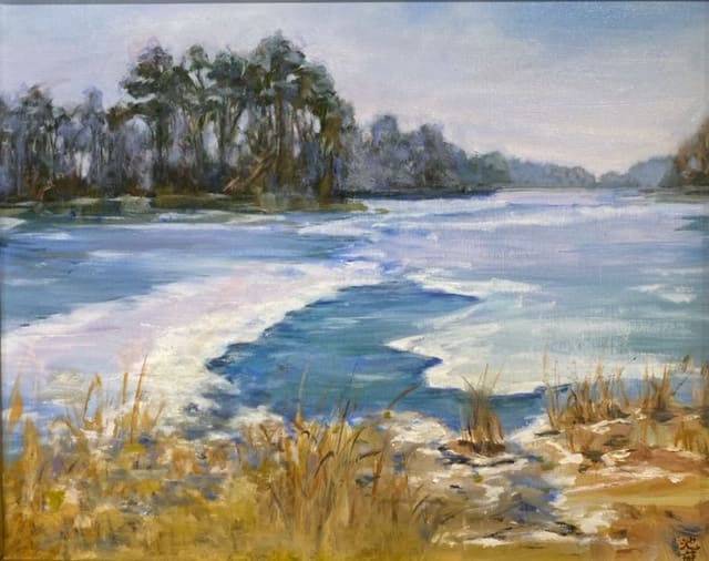 Ice on the Shore, Image 1.