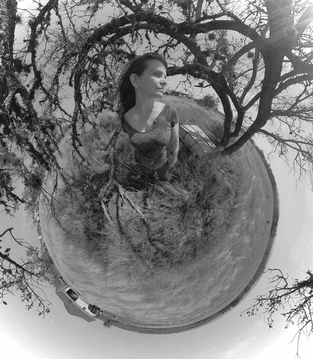 1219 by Lisa Sutton 