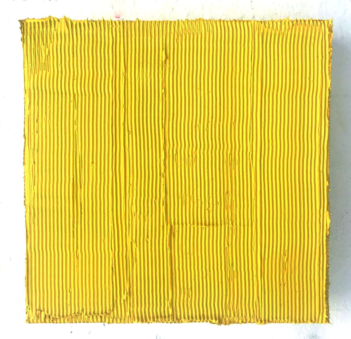 Yellow Pattern#2 by Sylvia Calver 