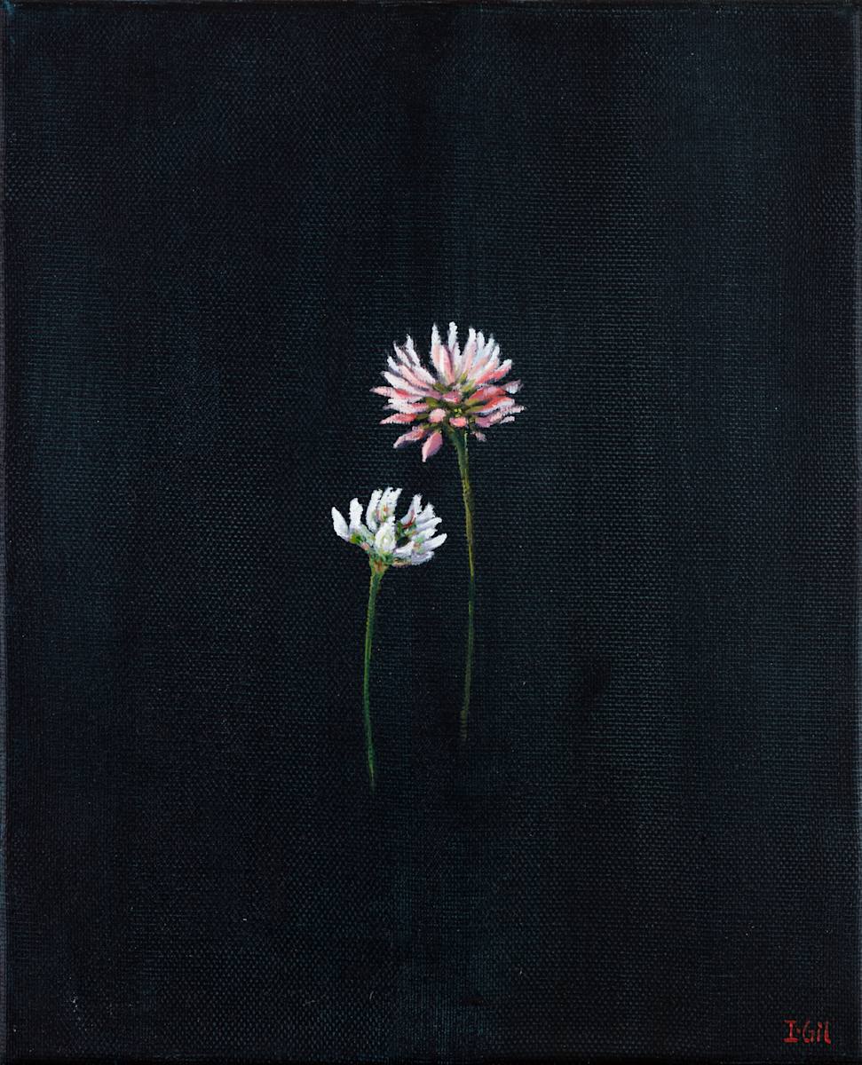 Flor de trébol by Isabel Gil Sánchez 