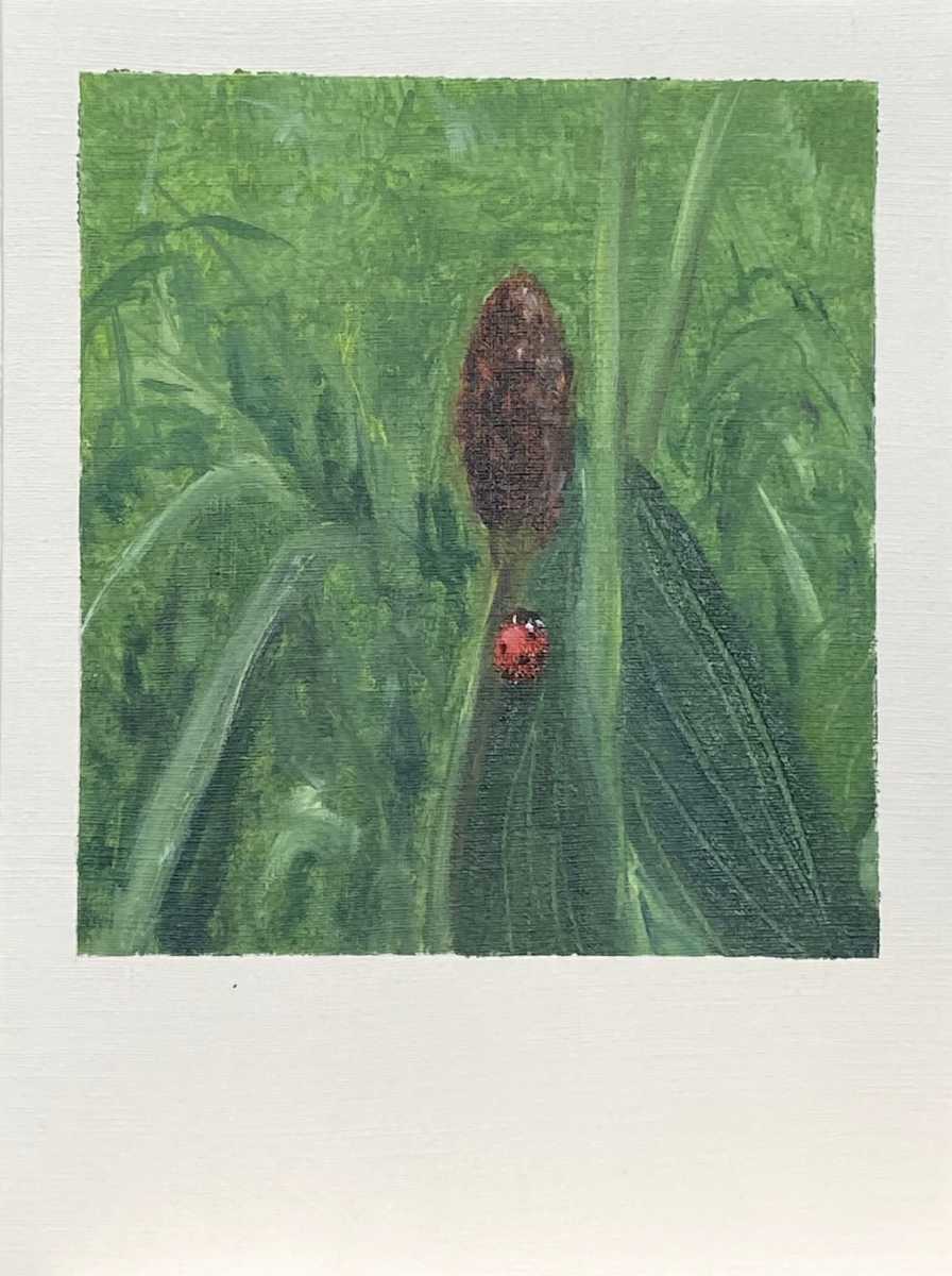 Serie Random #20 by Isabel Gil Sánchez 