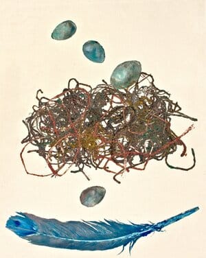 Nesting Series #2 by Sharon Whitham, Image 1.