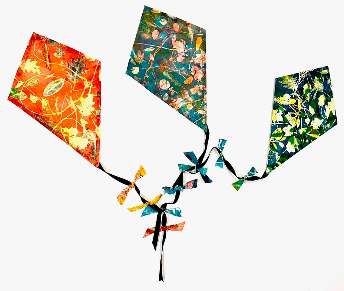 The Ties That Bind by Sharon Whitham, Image 5.