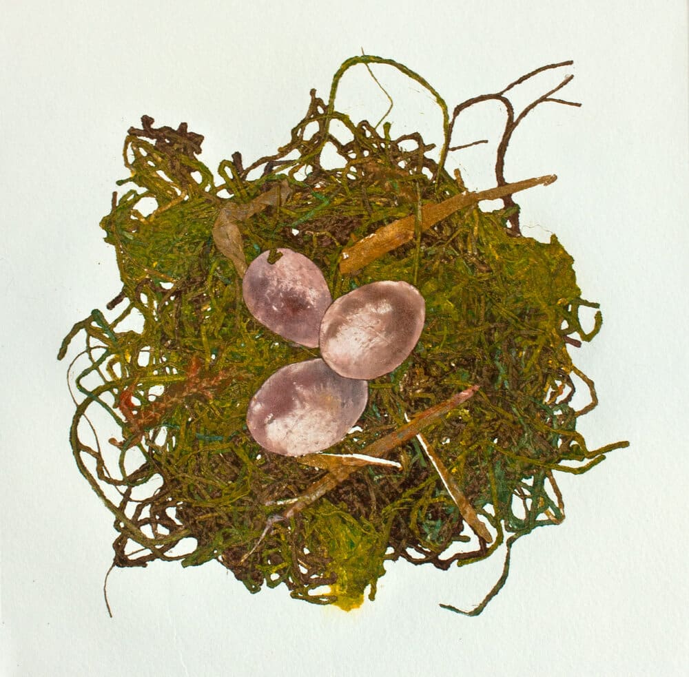 Nesting Series #5 by Sharon Whitham, Image 1.
