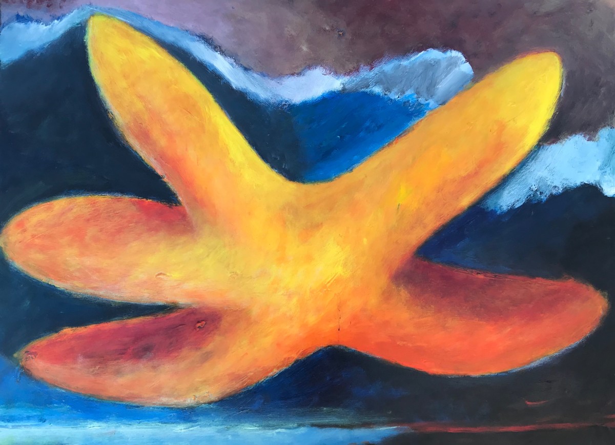 1263 Starfish by Judy Gittelsohn 