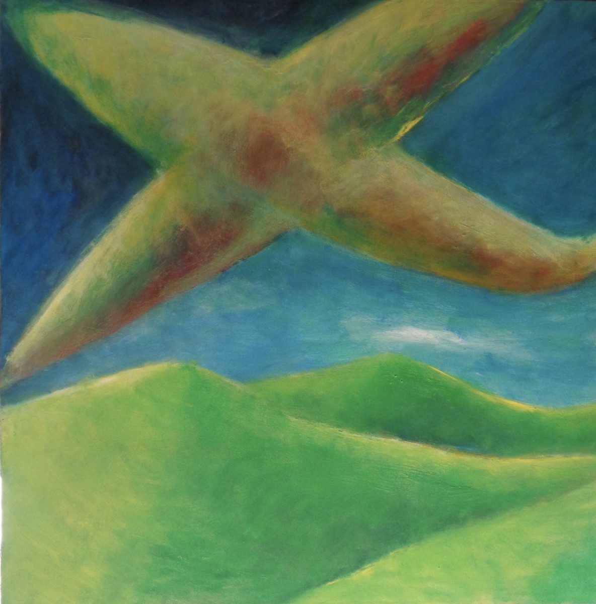 1211 Plane Over Hills by Judy Gittelsohn 