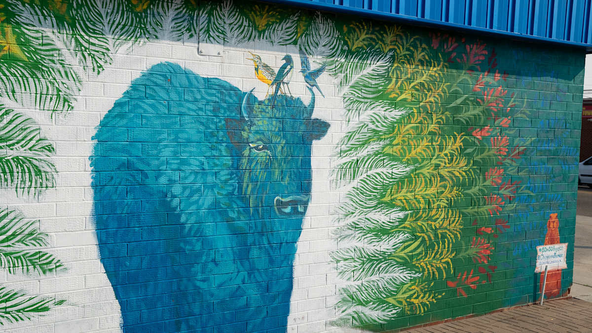 50 in 50 Murals (Cheyenne, WY) by Marcus, Desirée Brothe, Image 2.