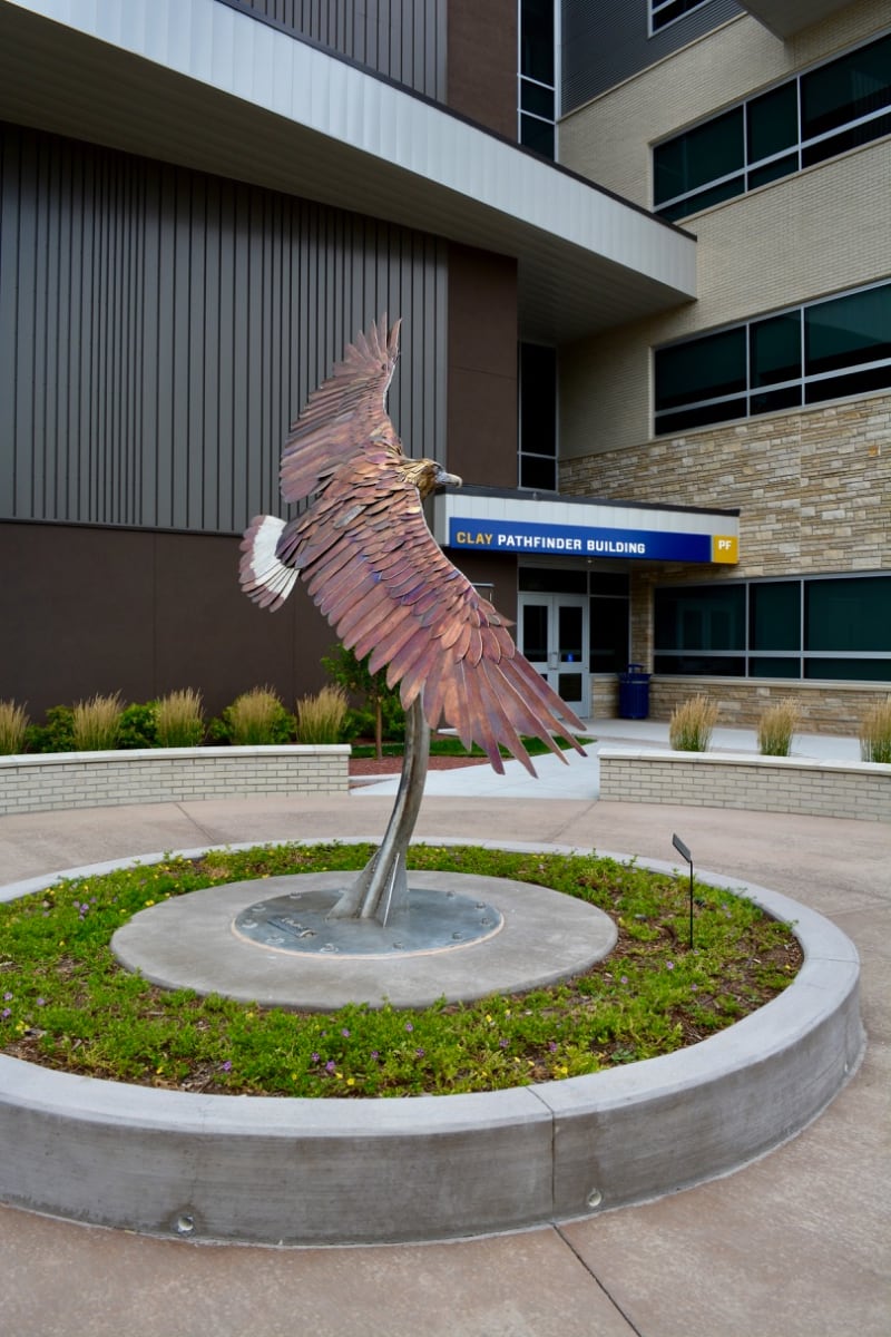 Golden Eagle by Jim Dolan, Image 1.