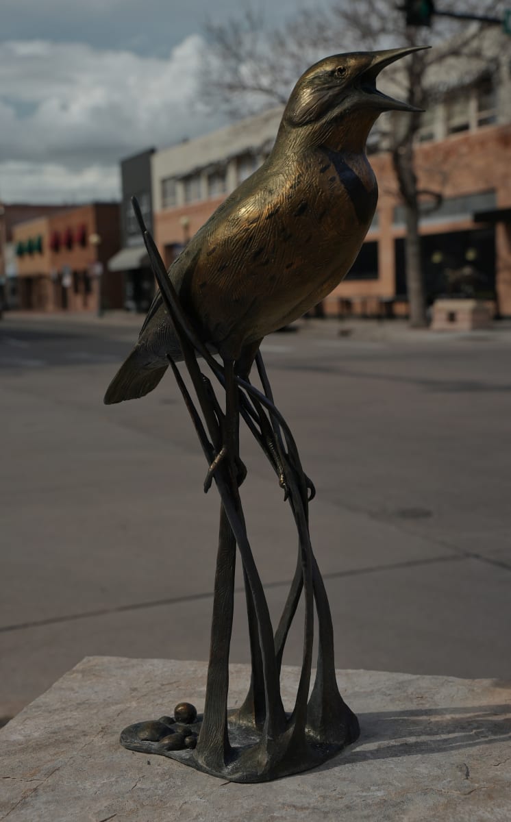 Meadow Maestro by Cliff Hollestelle, Image 3.