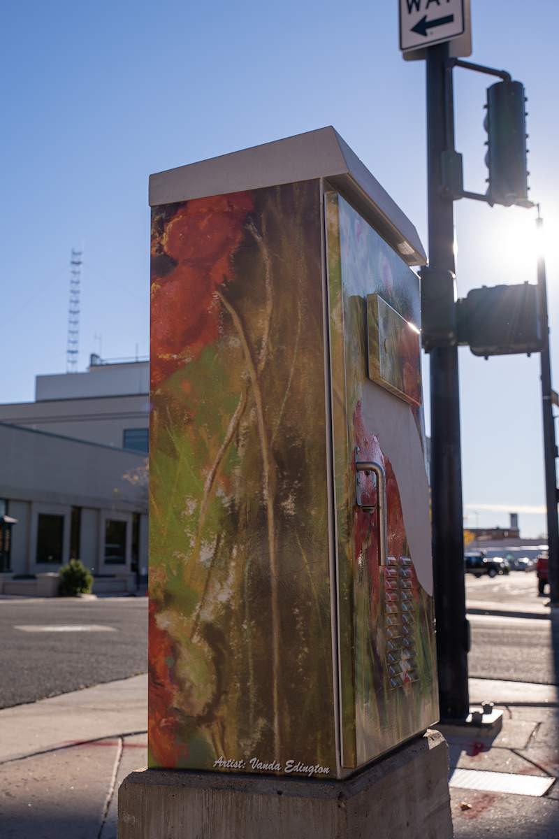 Untitled Utility Box by Vanda Edington, Image 1.