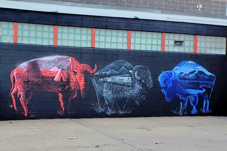 Wyoming Bison by P.J. Sierra 