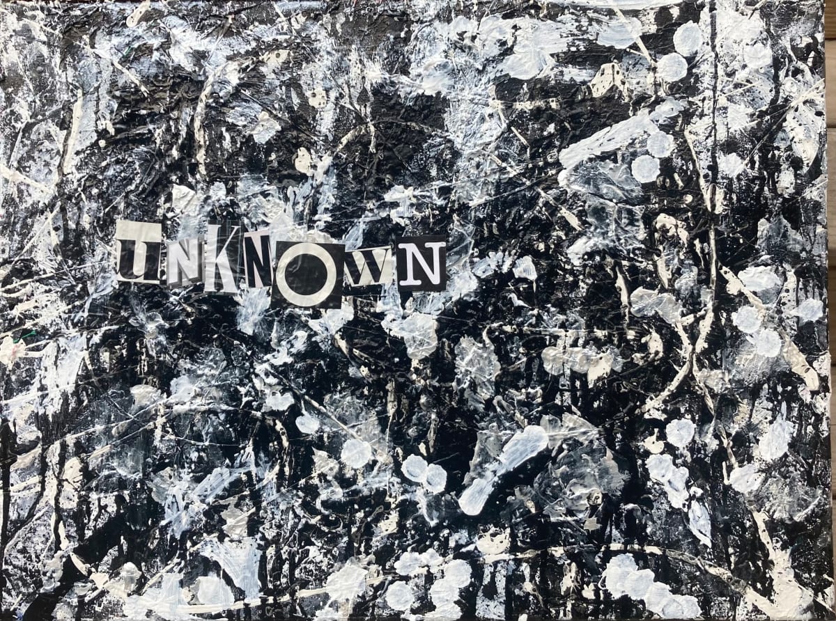 UNKNOWN by Sarah Daus 