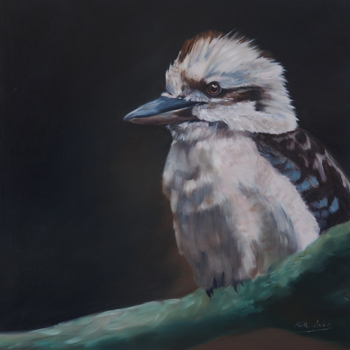 Kookaburrah by Mia Laing  