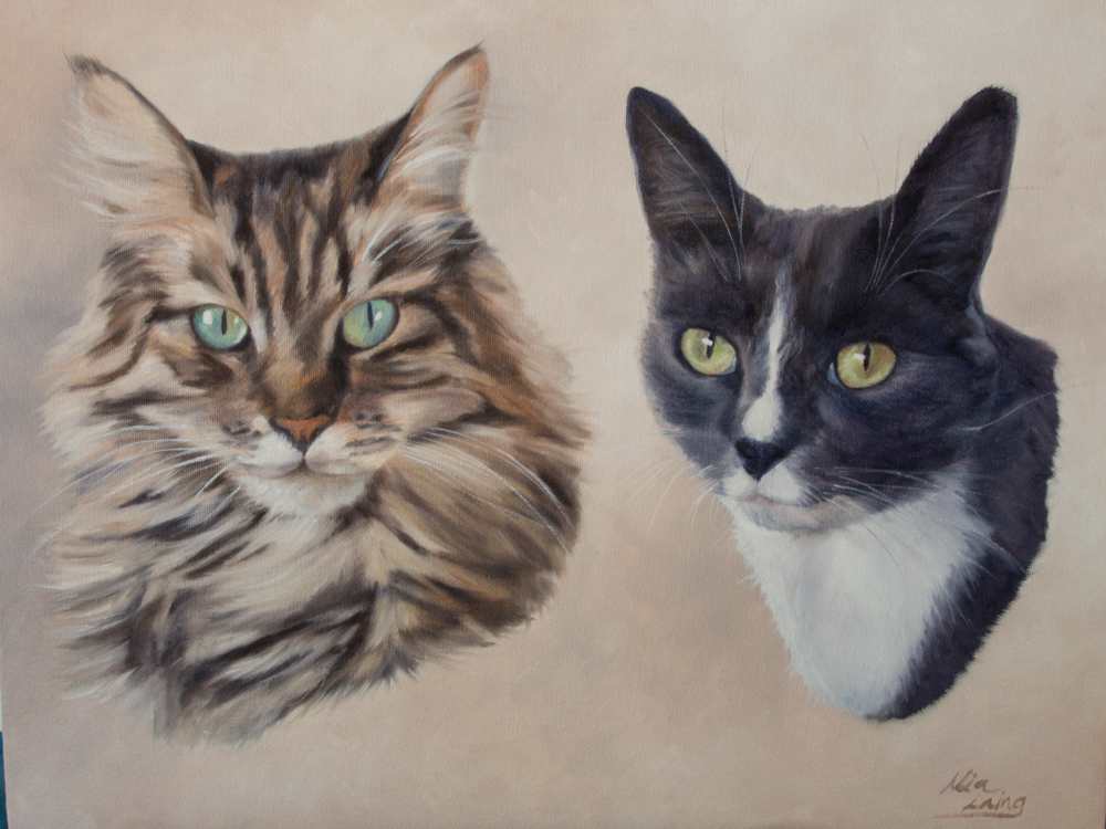 'Mackie & Bluey' by Mia Laing , Image 1.