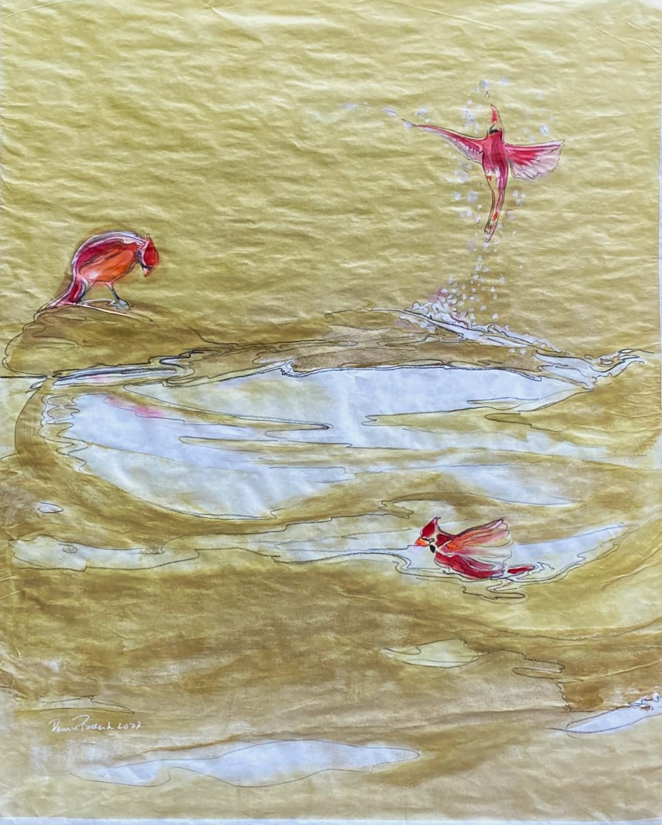 Bird Bath by Denise Richard 