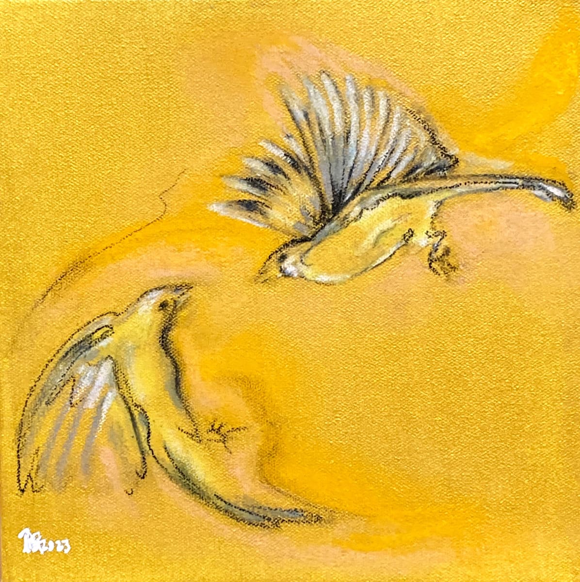 Yellow Jays 2023 by Denise Richard 