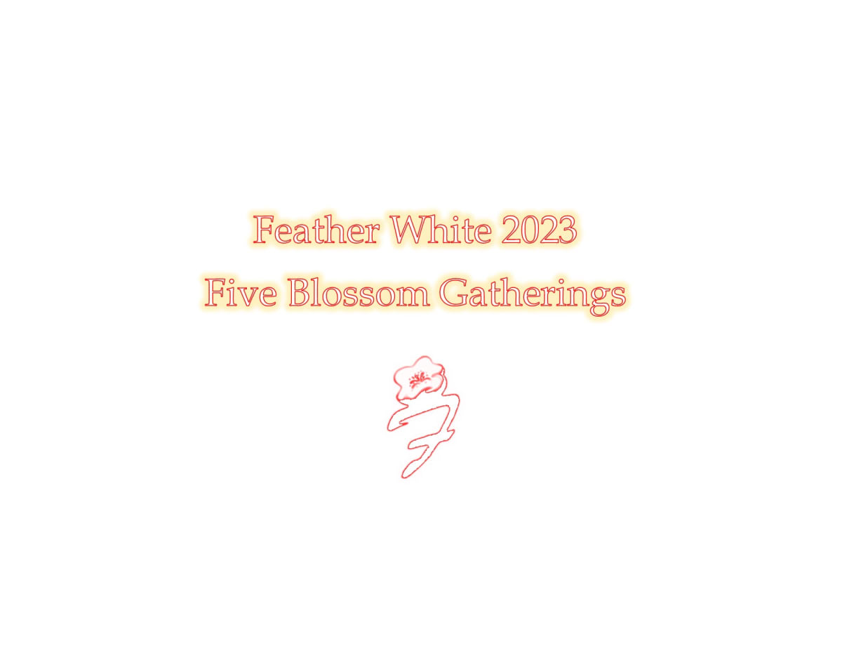 Feather White 2023 by Denise Richard 