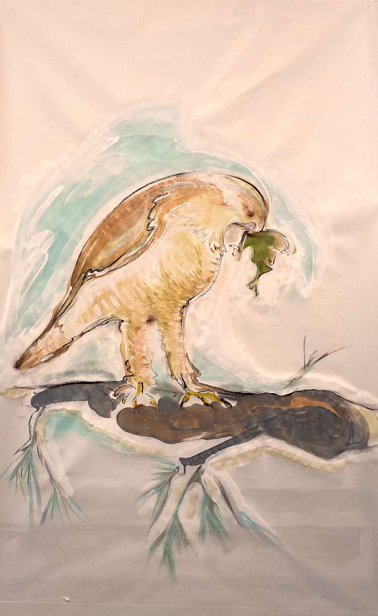 Hawk 1.aaa by Denise Richard, Image 1.