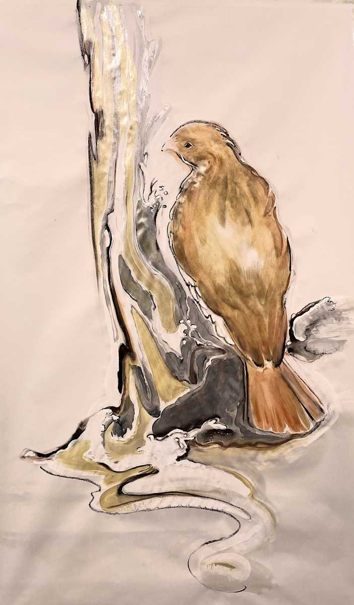 Hawk 1.c by Denise Richard, Image 1.