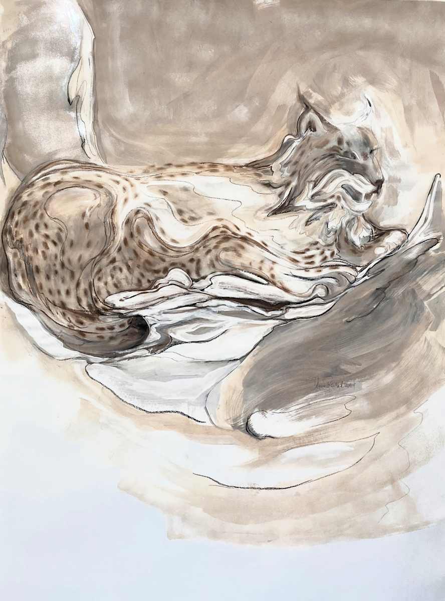 Lynx 1.a by Denise Richard 