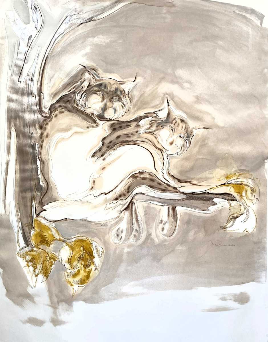 Lynx 6 by Denise Richard 