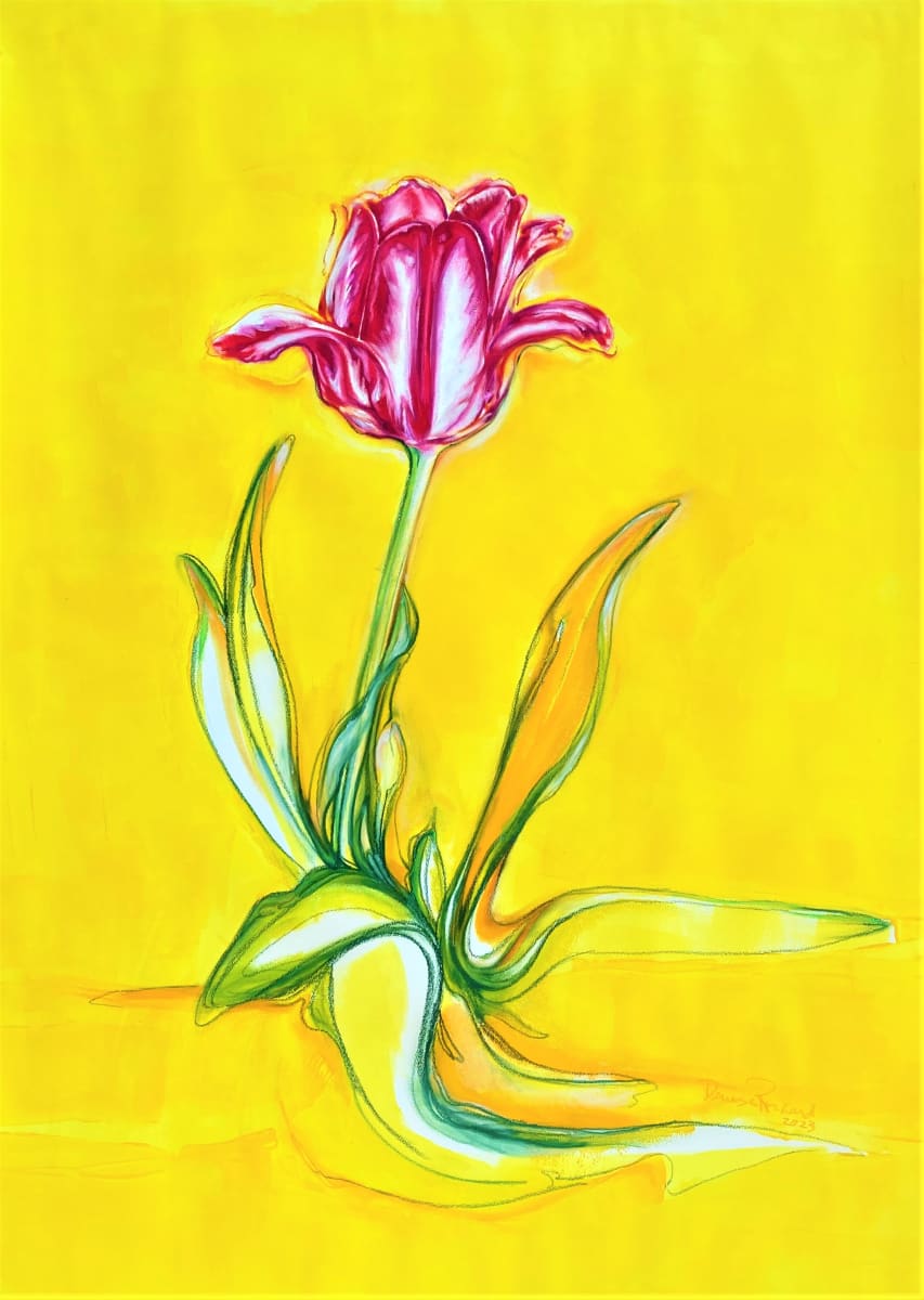 Tulip Canadien 2 by Denise Richard 