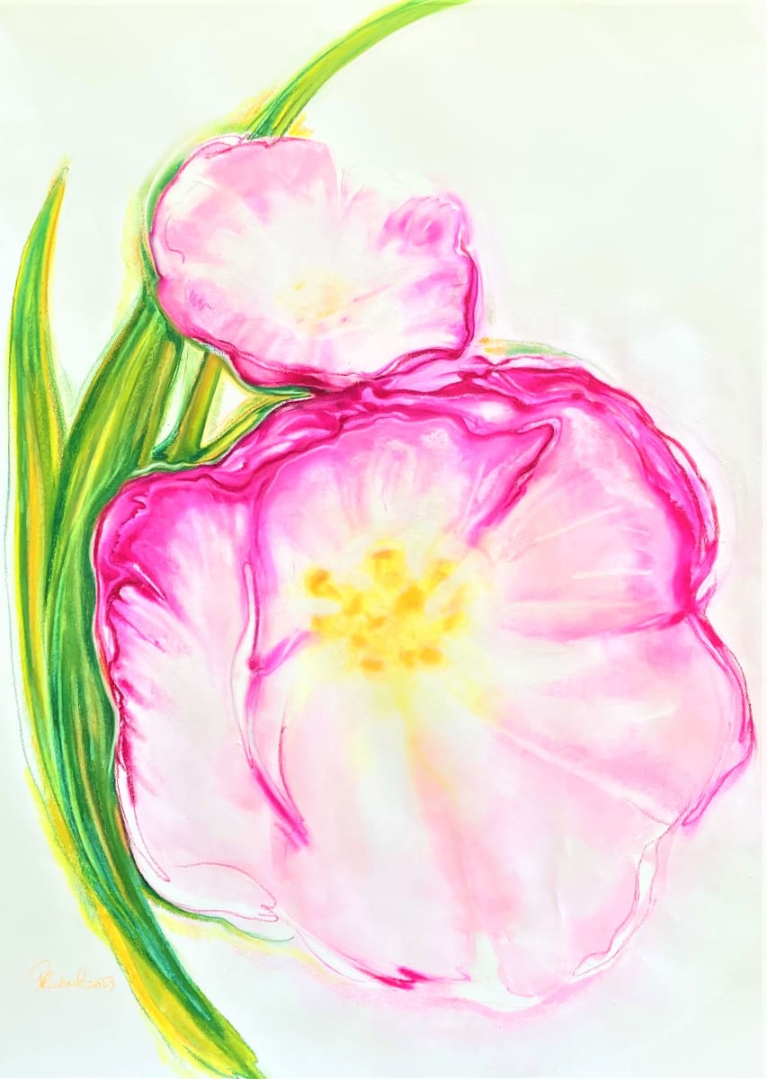 Tulip in Pink by Denise Richard 