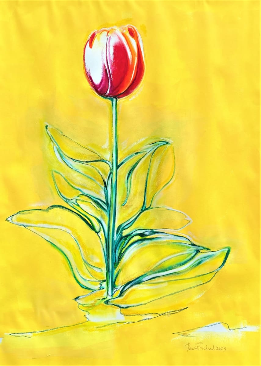 Tulip Canadien by Denise Richard 