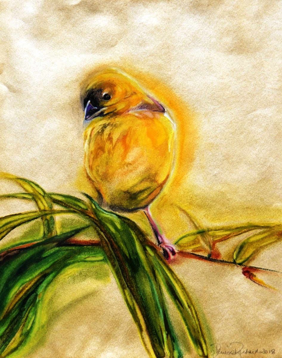 Yellow Bird by Denise Richard 