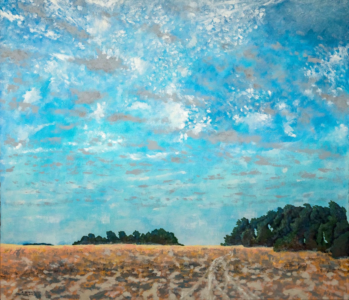 La Salle's Prairie by Kerry Beverly 