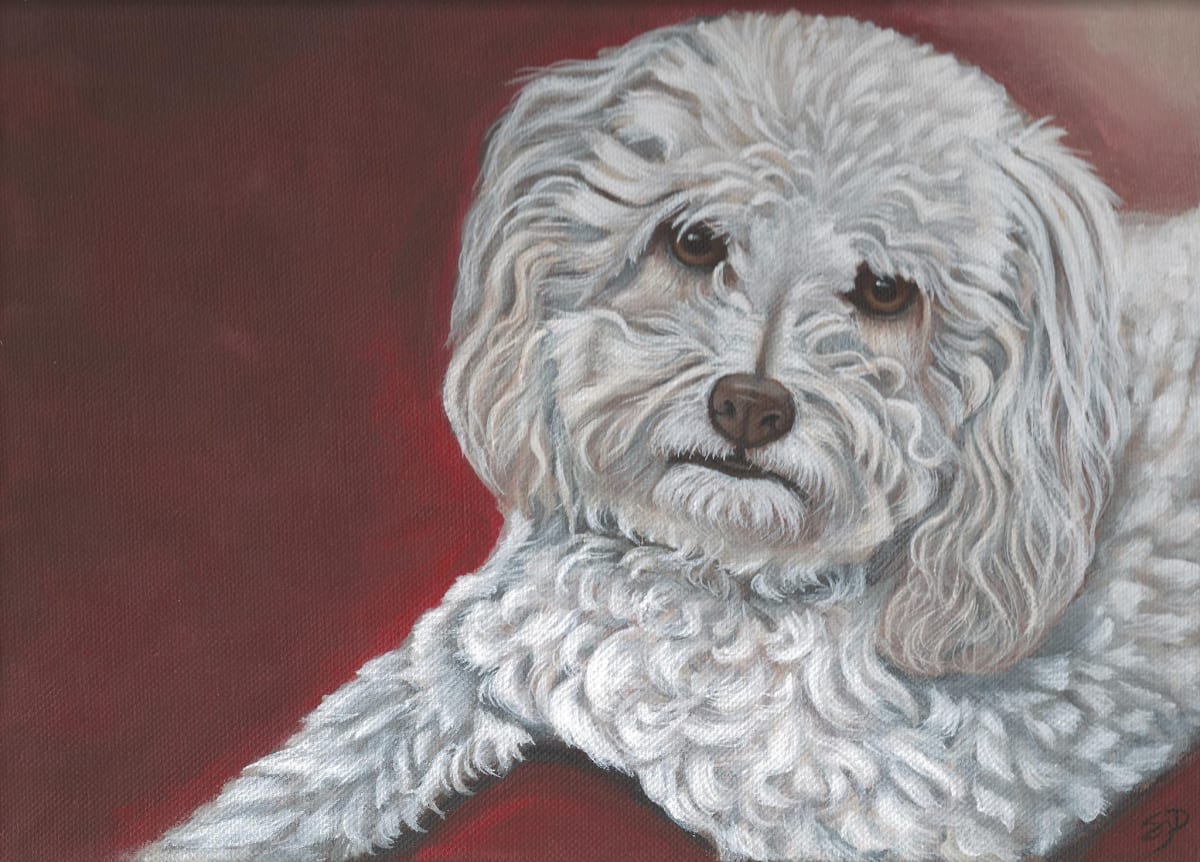 Pet Portrait - Cosmo by S.J. Dopheide 