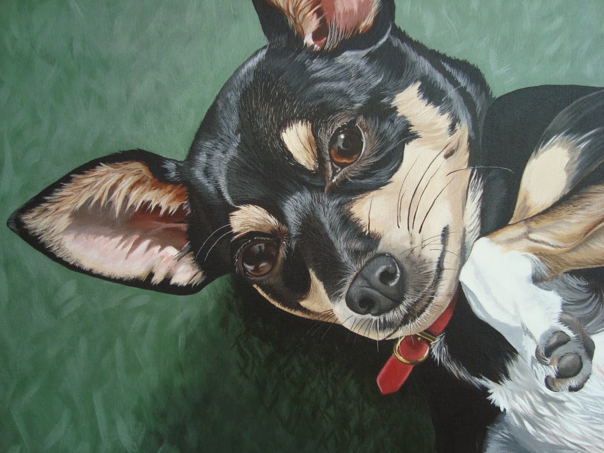 Pet Portrait - Lily by S.J. Dopheide 