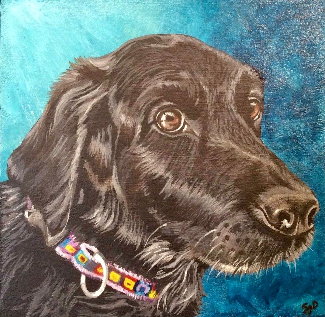 Pet Portrait - Vibes by S.J. Dopheide 