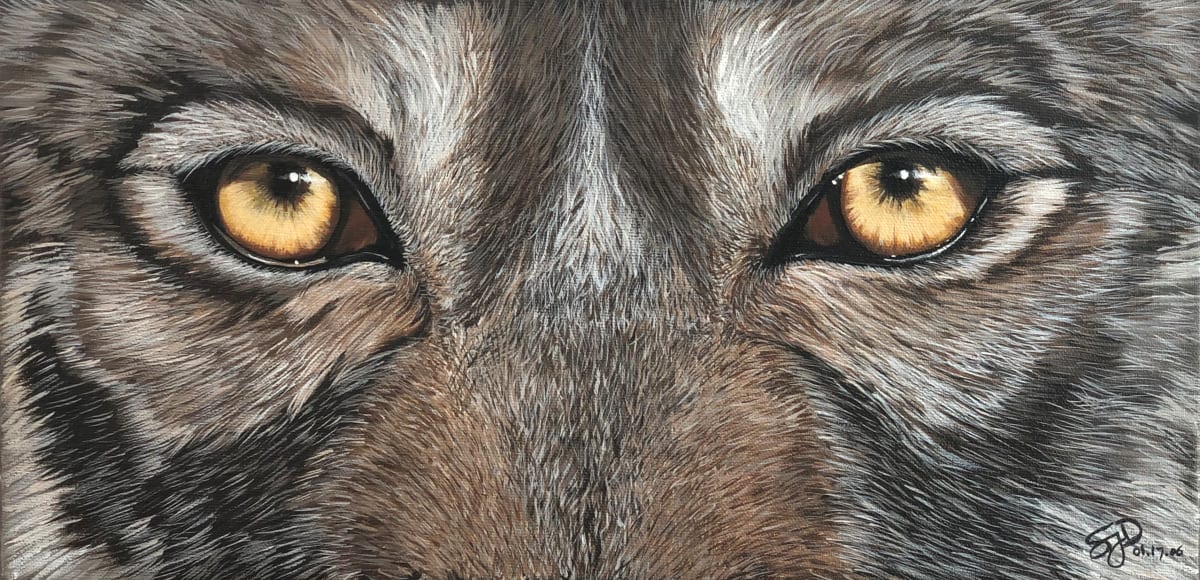 Rockwood Wolf 10 by S.J. Dopheide 