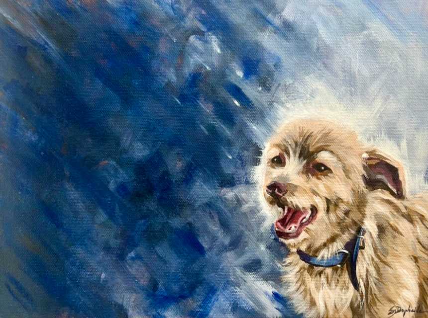 Perrito Feliz by S.J. Dopheide 