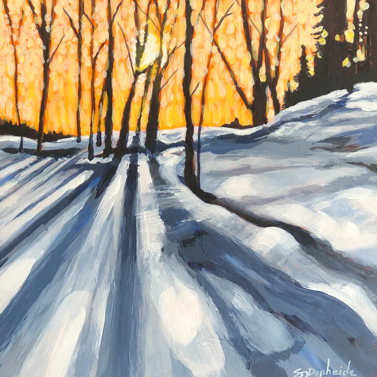 Sun Glow by S.J. Dopheide 