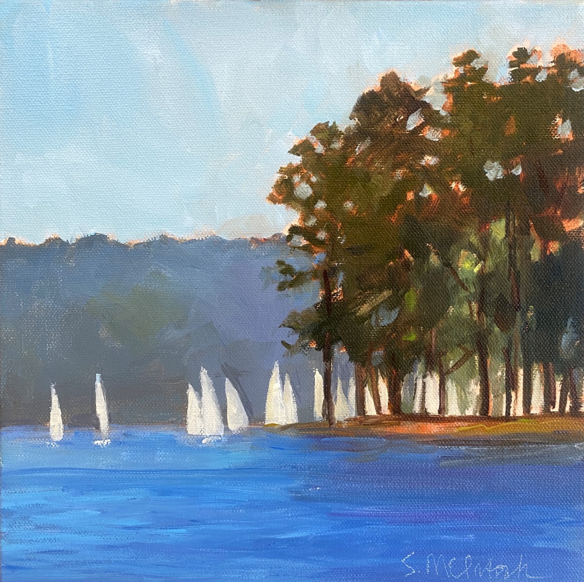 Racing around the point by Sharon McIntosh 