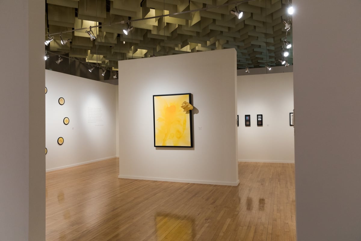 Lance L. Smith: In the Interest of Action, installation view at UNLV's Marjorie Barrick Museum of Art (Photo by Mikayla Whitmore)